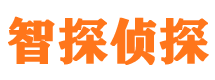 安居市侦探调查公司